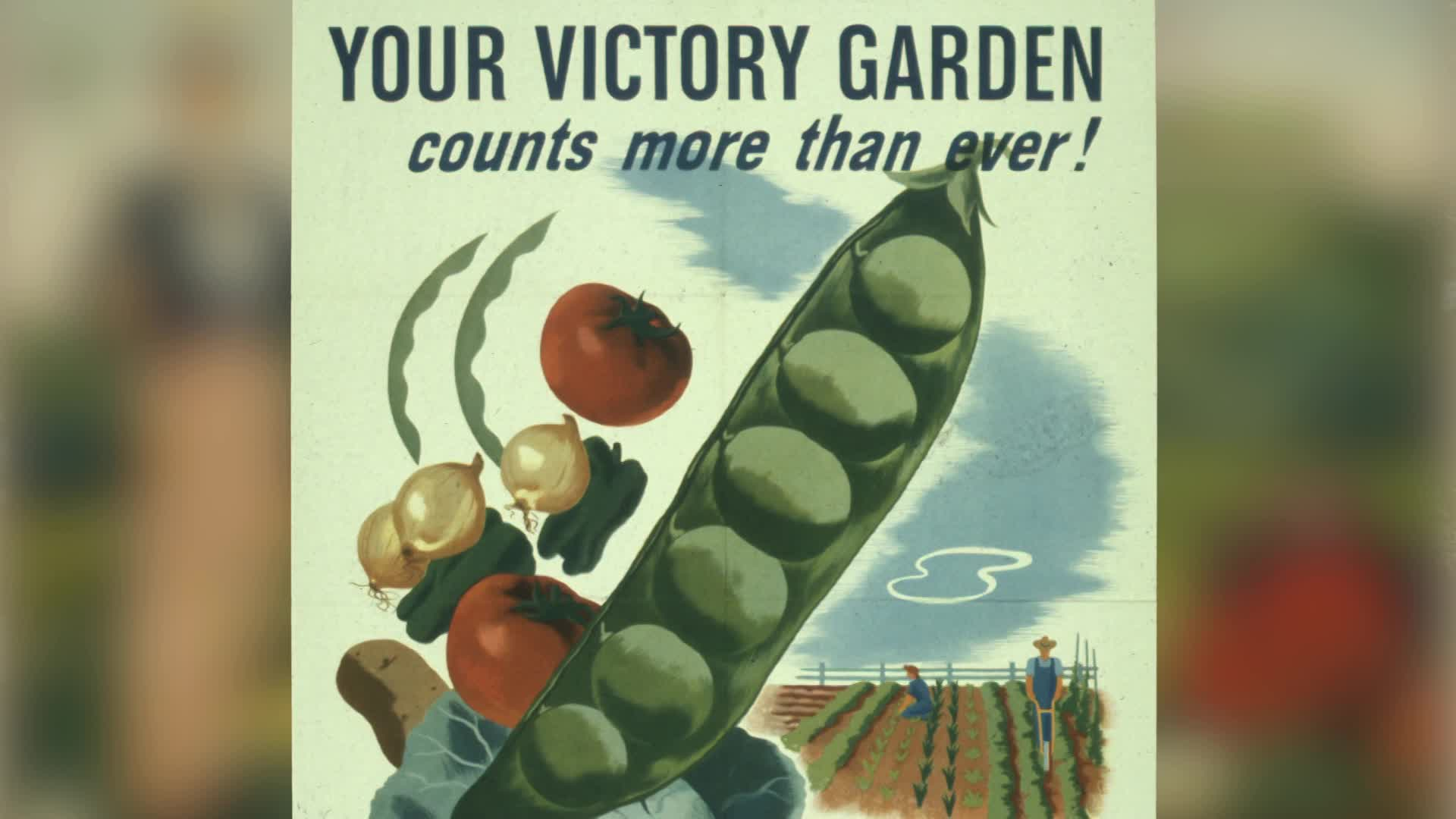 California Bountiful: Gardening 101