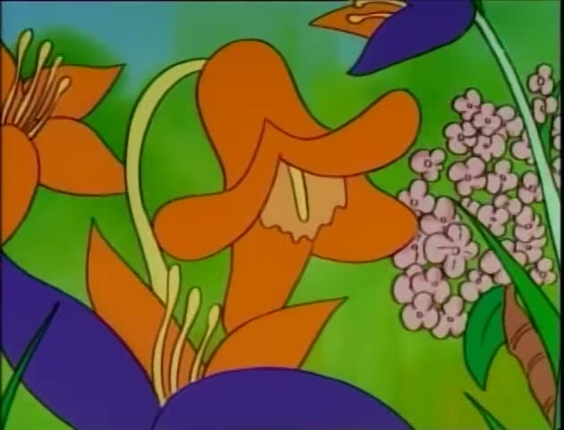 The Beginners Bible: "The Story of Easter"