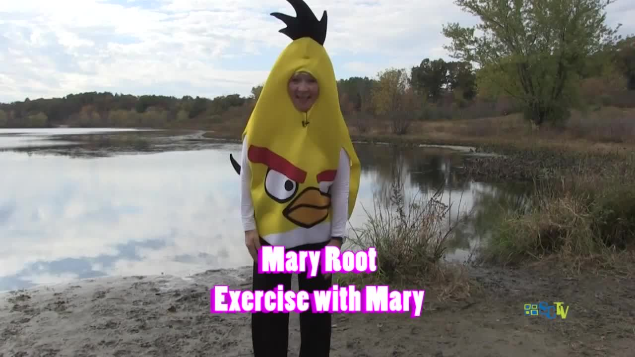 Exercise with Mary