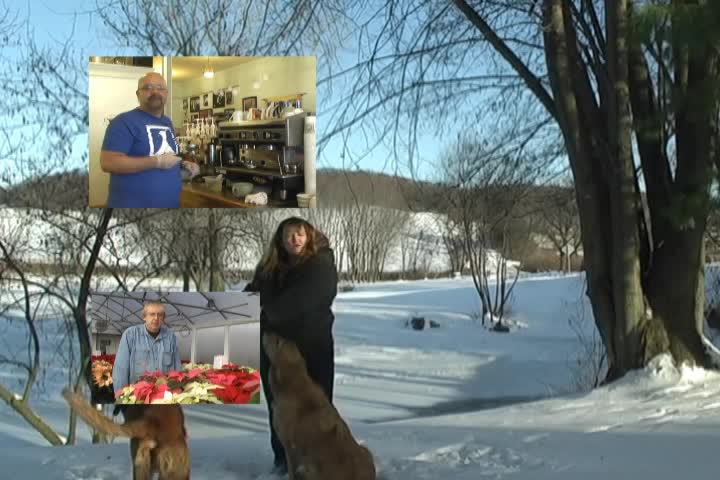 Garden Wise with Arlena: Holiday Blast