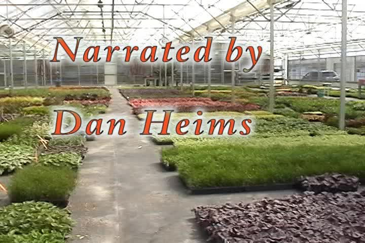 Garden Wise with Arlena: Magic of Terra Nova