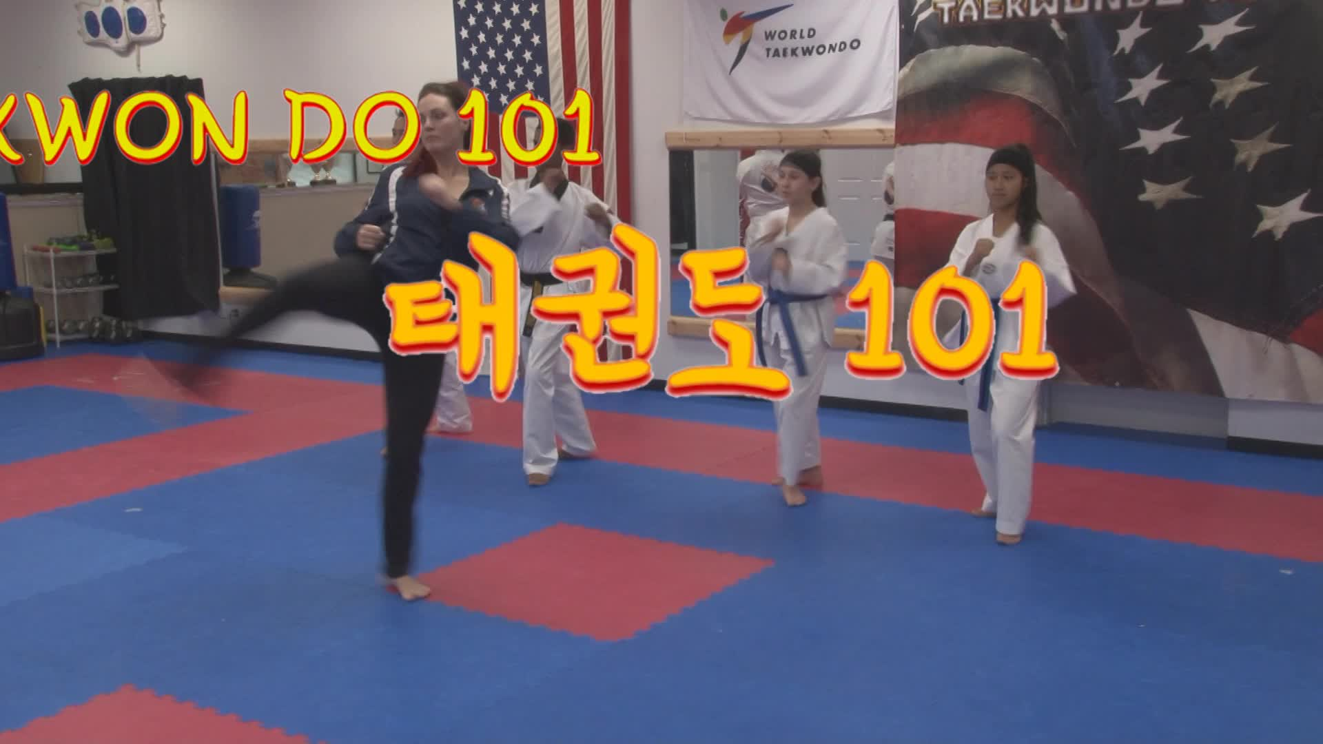 Tae Kwon Do 101 (1)