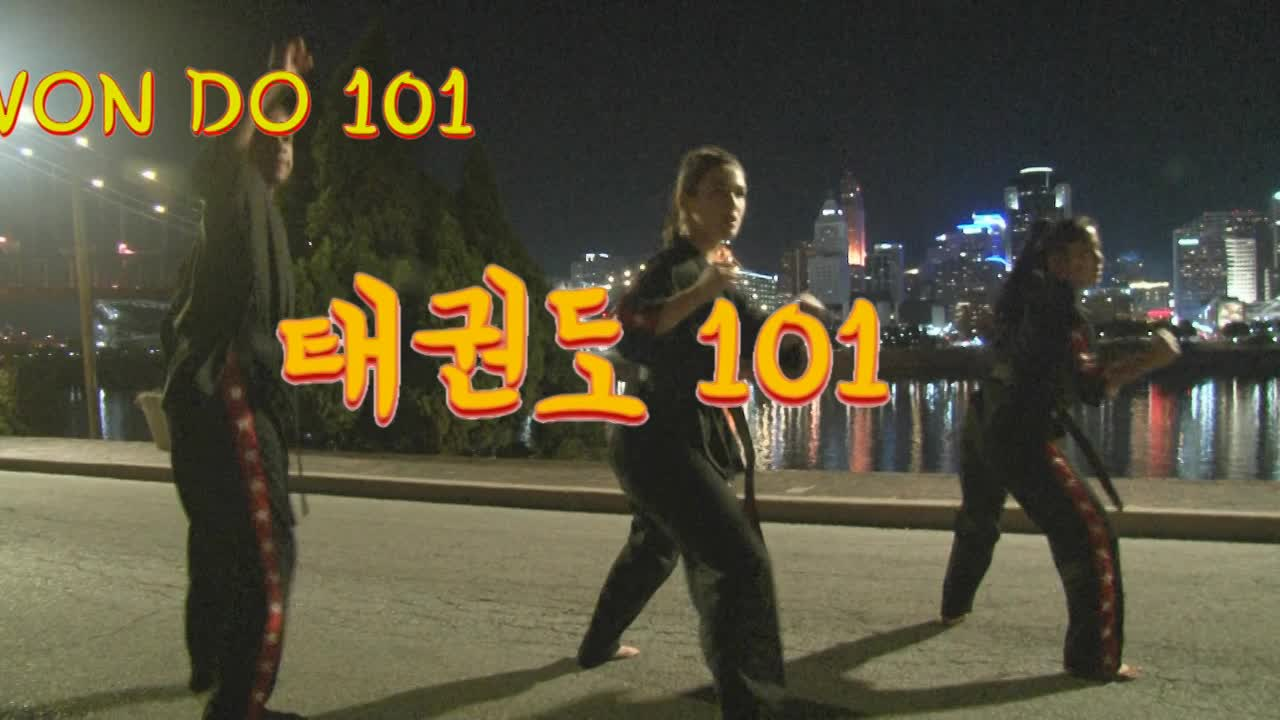 Tae Kwon Do 101 (3)