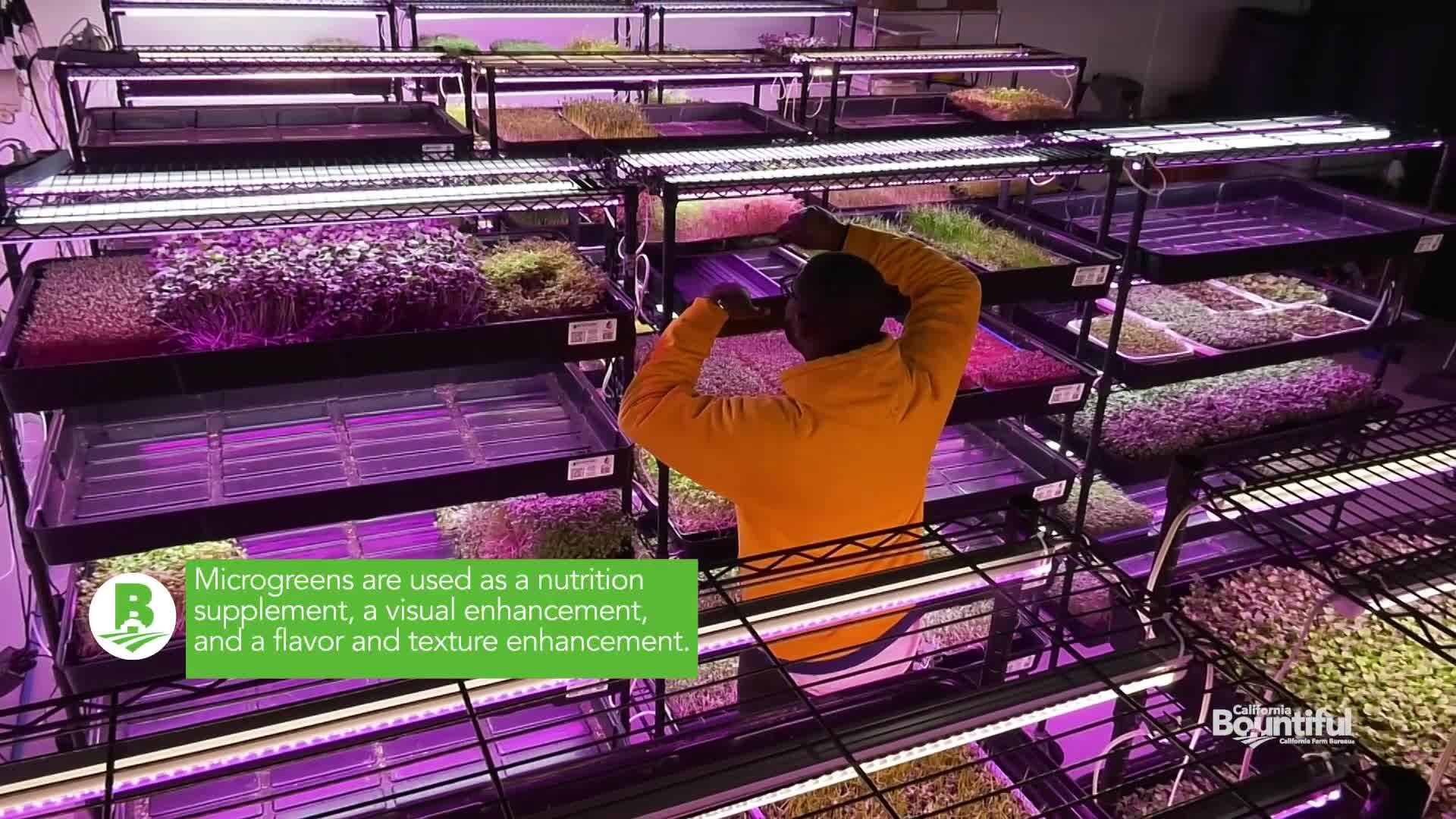 "Delta Microgreens"