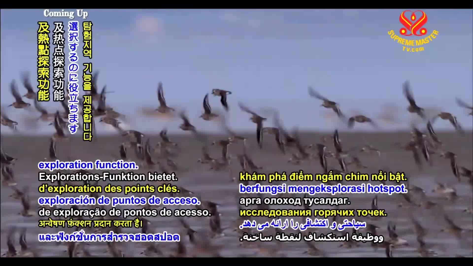 Healthy Living: "Birding - Connecting Us with Nature"