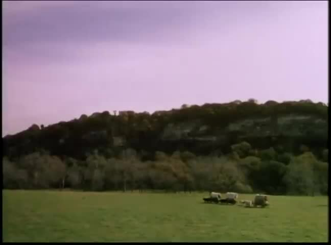"A Mother's Gift" (1995)