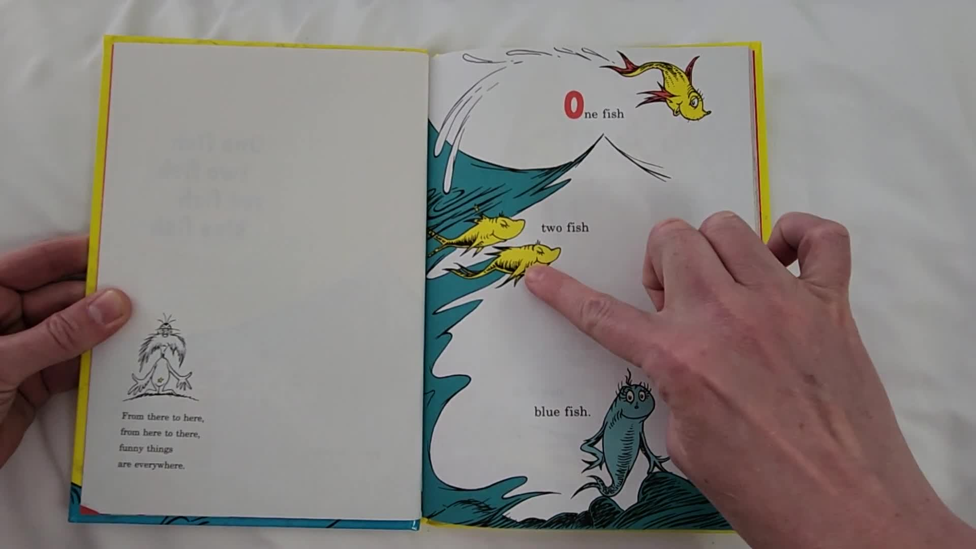 "One fish, two fish, red fish, blue fish"  By Dr. Seuss