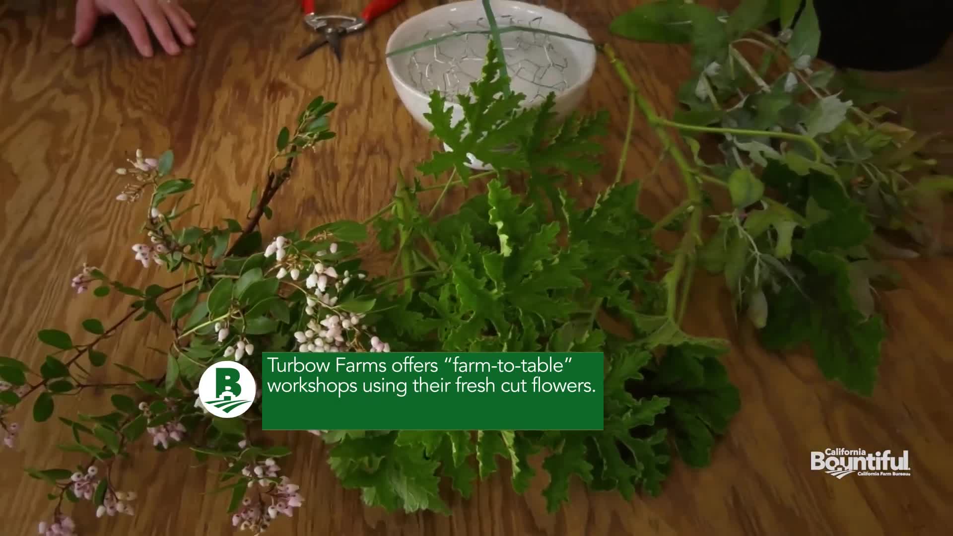 Turbow Farms: "Flower Demo"