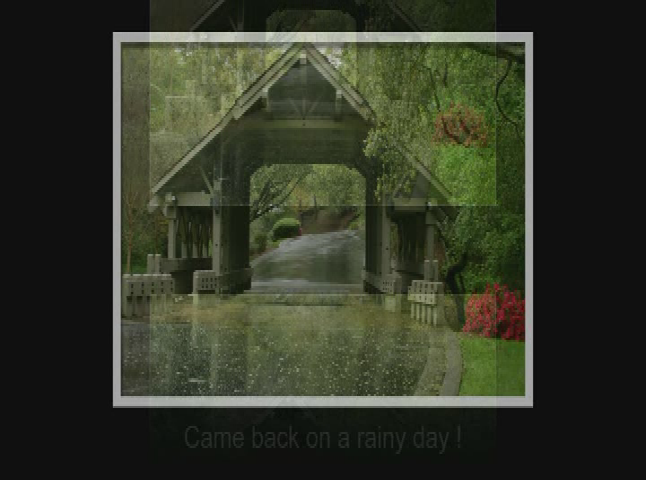 Covered Bridges: "California's Covered Bridges: Private and Decorative"