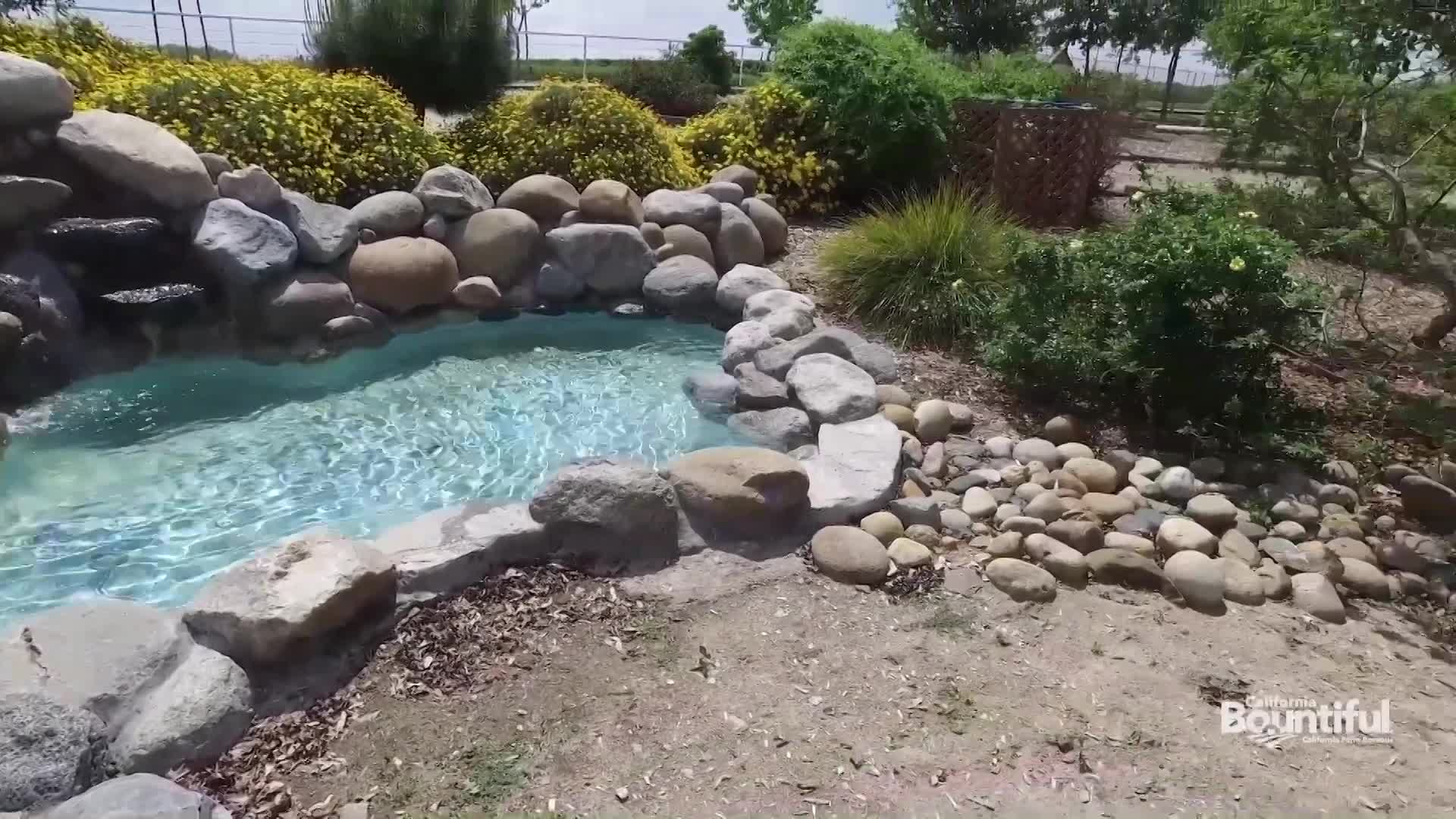 California Bountiful