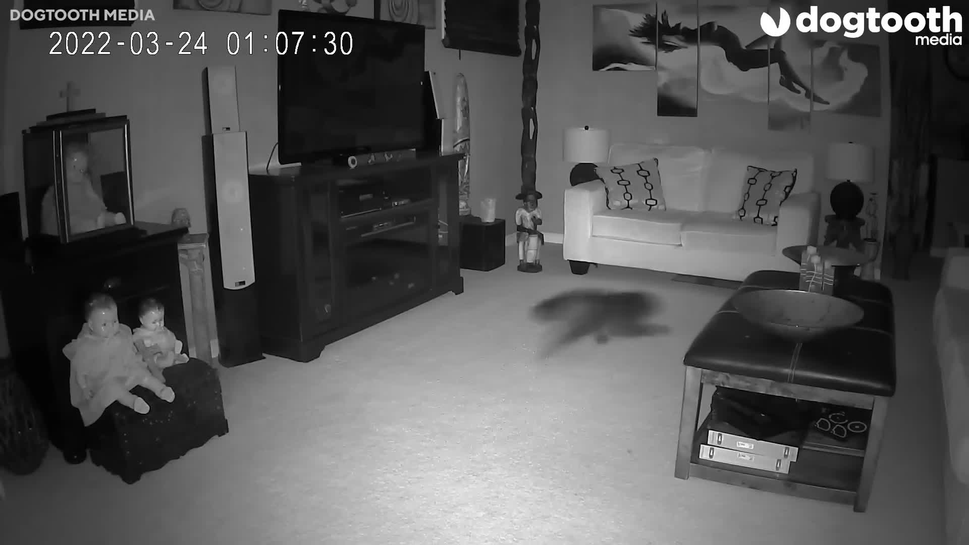 Top 20 Paranormal Events Caught On Camera