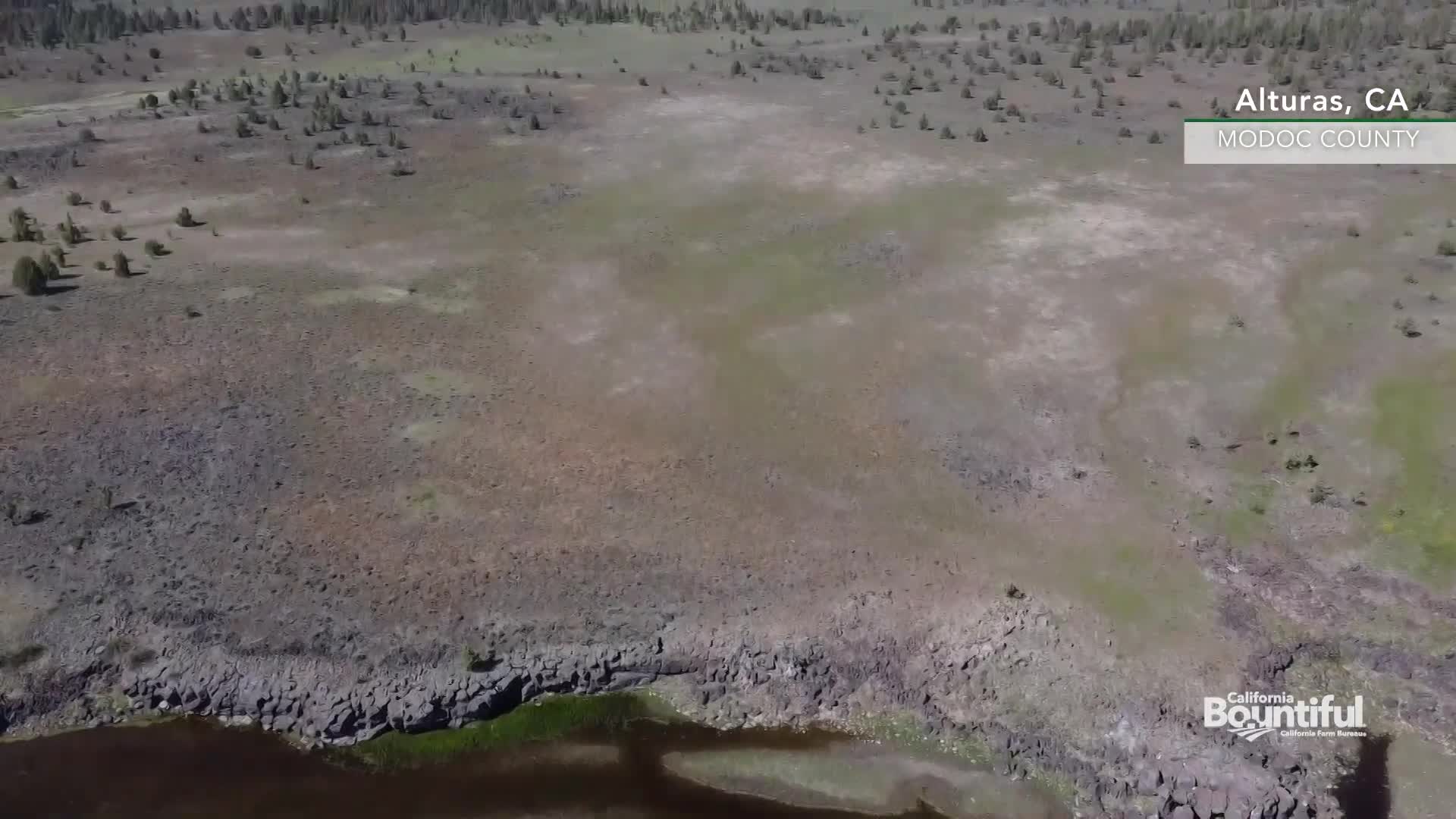 California Bountiful