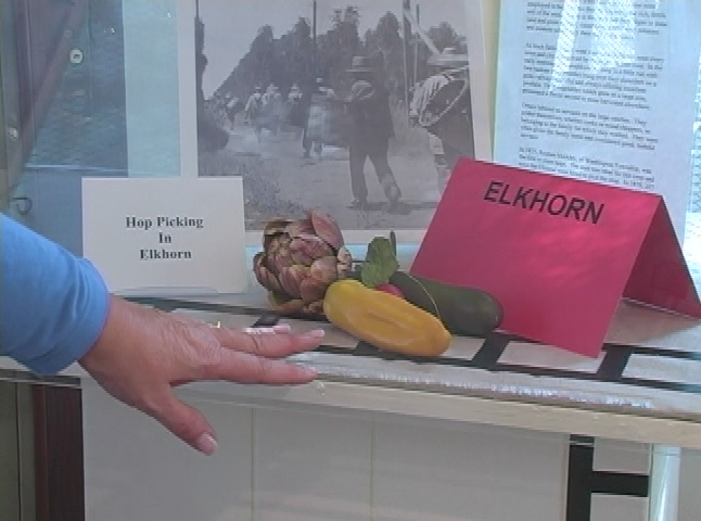 Gibson House Museum: Chinese Exhibit