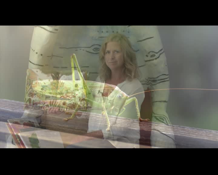 Durango Library Story Time: "BUGS!"