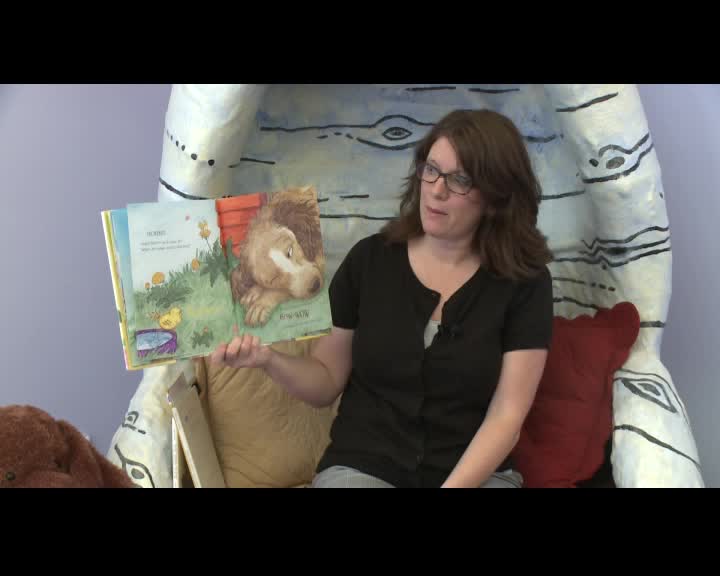 Durango Library Story Time: "Weather"