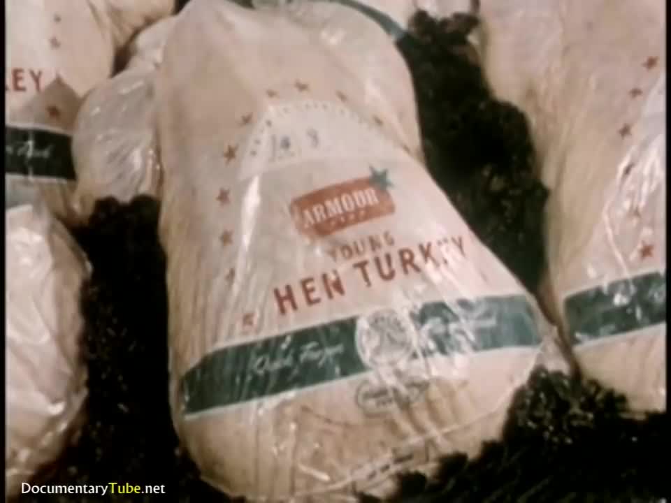 American Nostalgia: "The 1950s Thanksgiving"