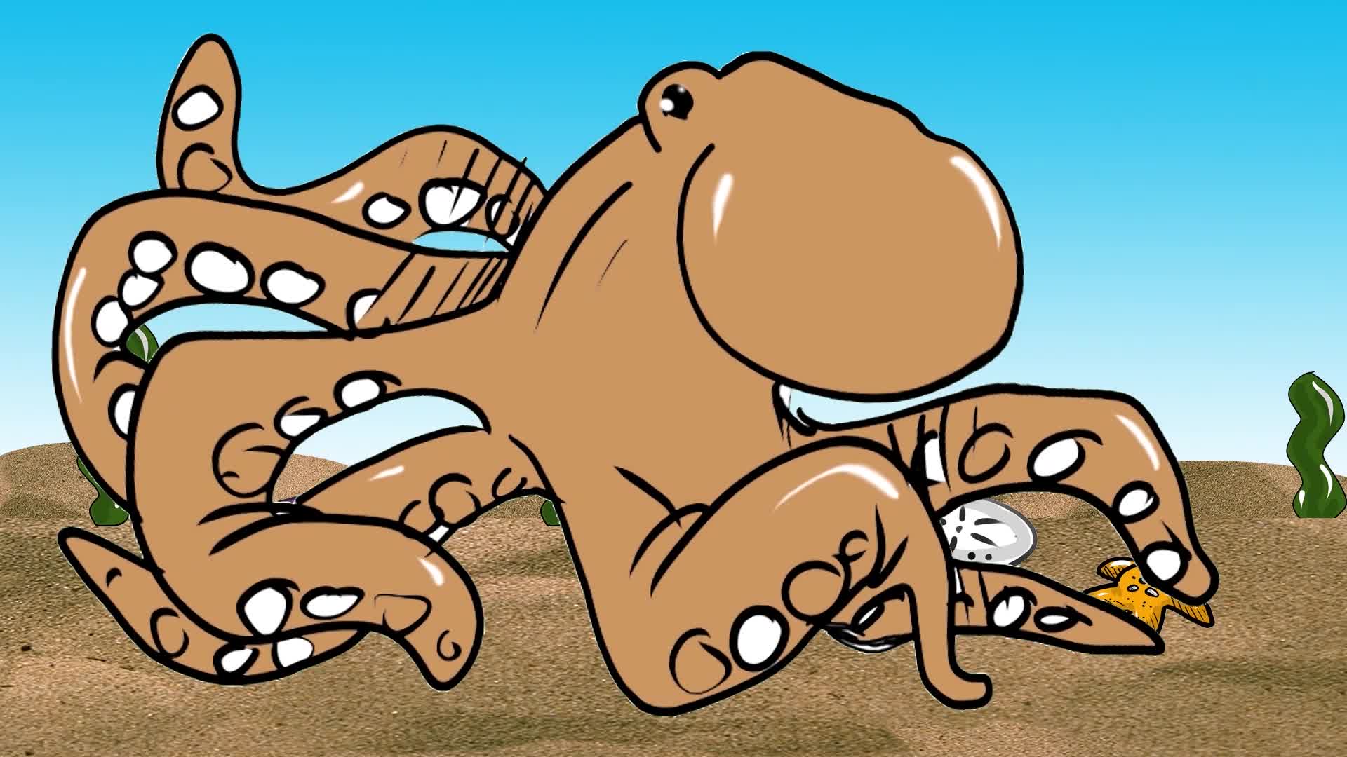 The Dr. Draw Show: "Octopus show"