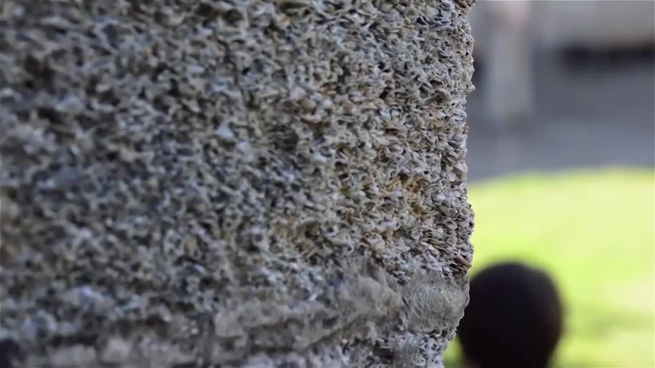 Undiscovered America: "Pirates, Palms, & Picturesque Peaks"