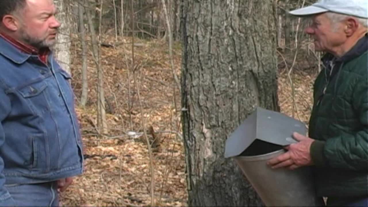 Door County: "Making Maple Syrup"