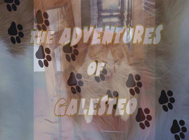 The Adventures of Galesteo