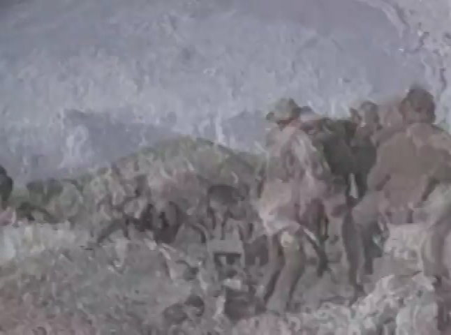 "McClintock" (1963)