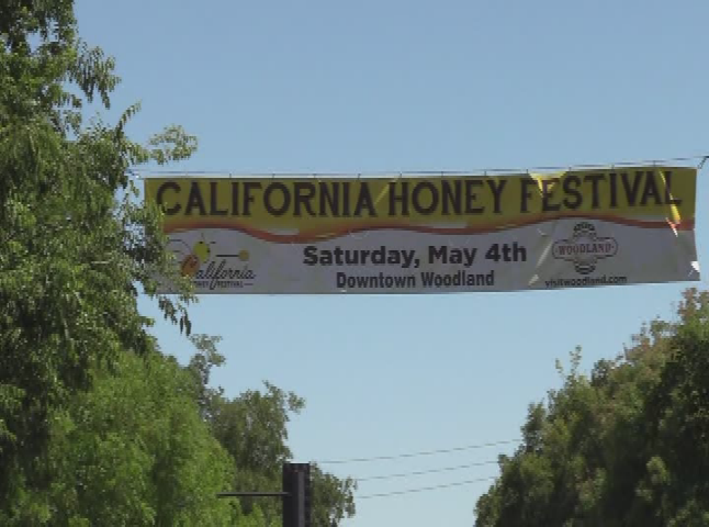 Downtown Woodland: Honey Festival (2019)