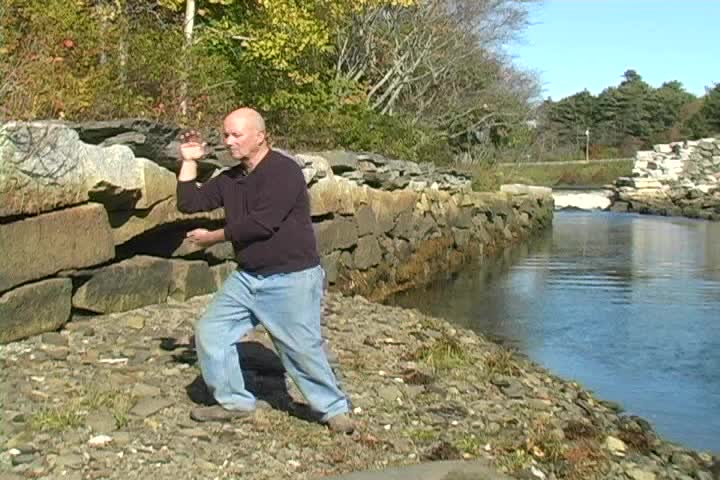 Tai Chi Through the Seasons