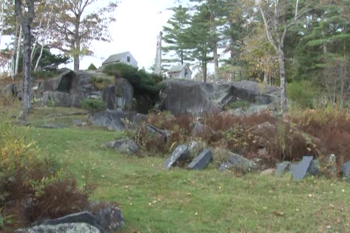 Tai Chi Through the Seasons
