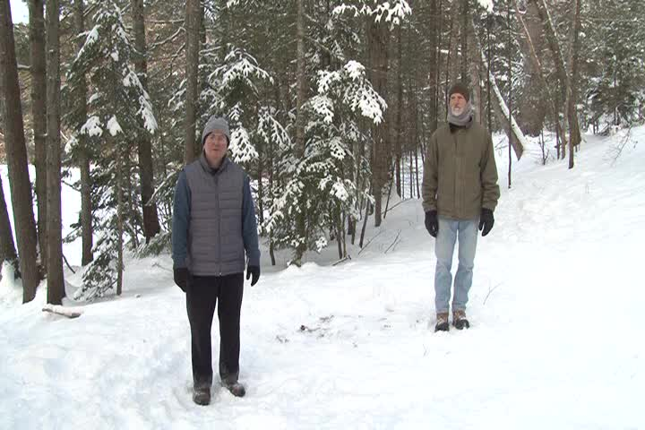 Tai Chi Through the Seasons