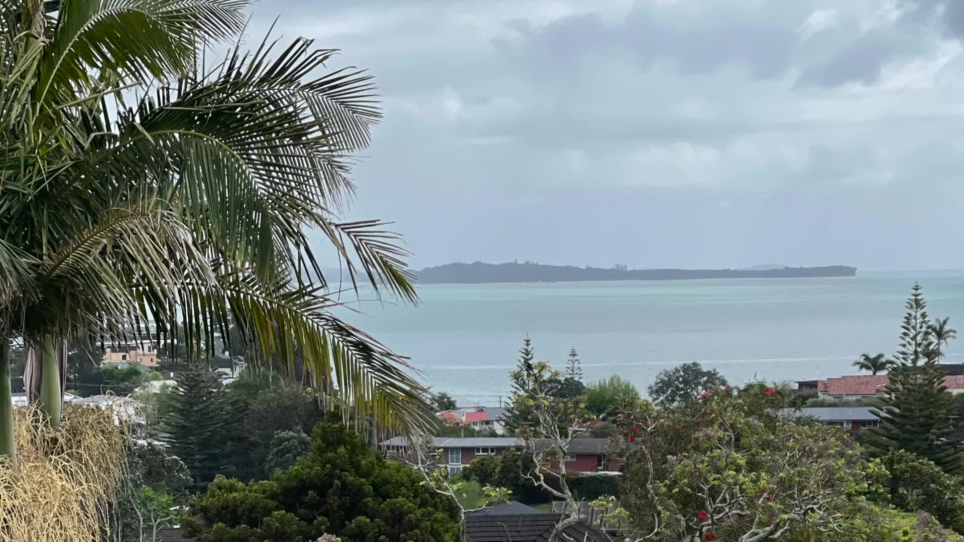 Cooking and Kids: "New Zealand: Auckland Parks"   Asian soup.
