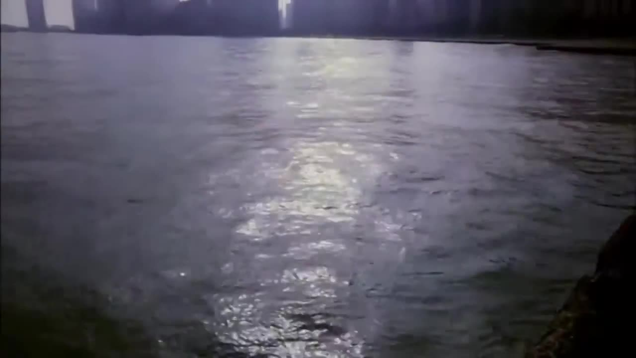 "Love At The Thanksgiving Day Parade" (2017)