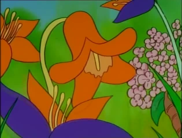 The Beginners Bible: "The Nativity"