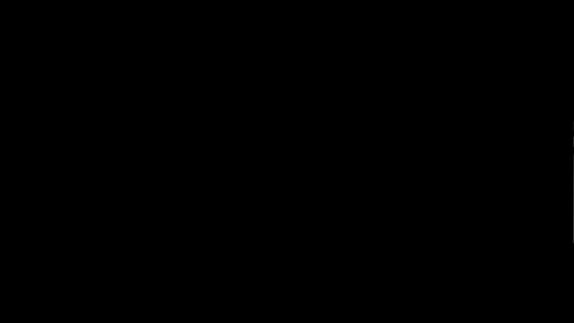 "Diamond Dog Caper" (2008)