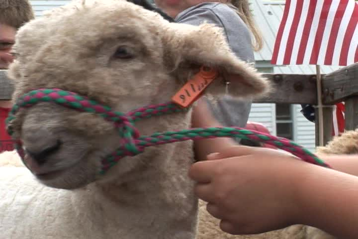 Garden Thyme: Limington 4th Of July Parade