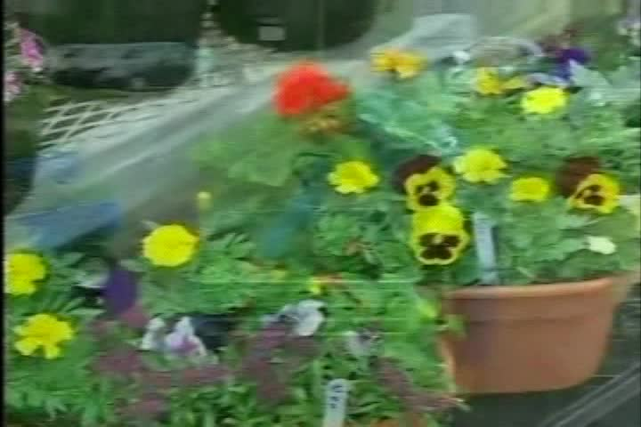 Garden Thyme: Belfast Garden Tour (Orland)