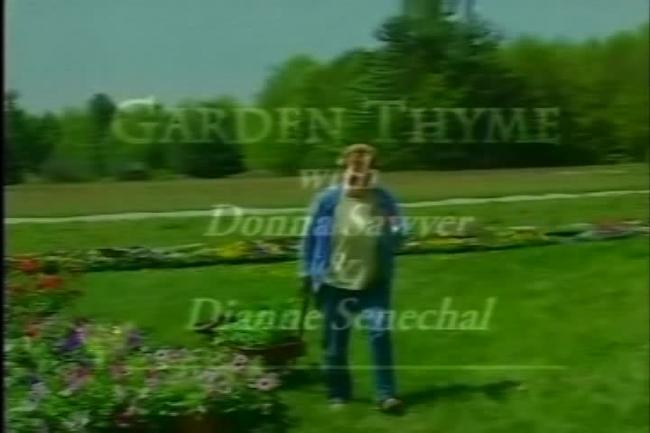 Garden Thyme: Pineland Farms