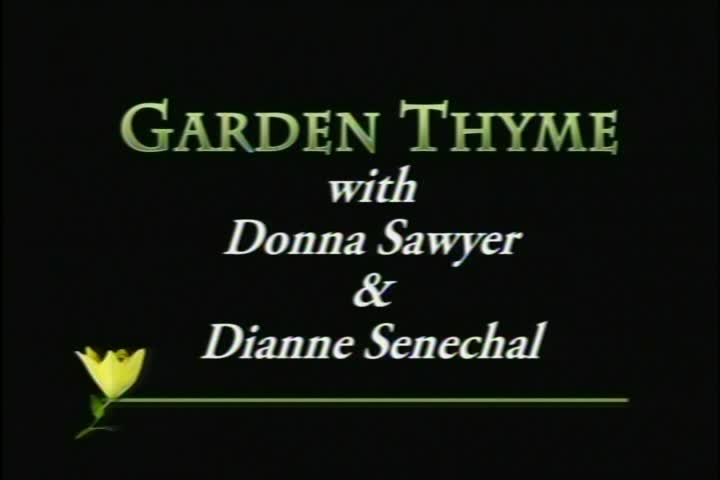 Garden Thyme: From Sandlot to Garden