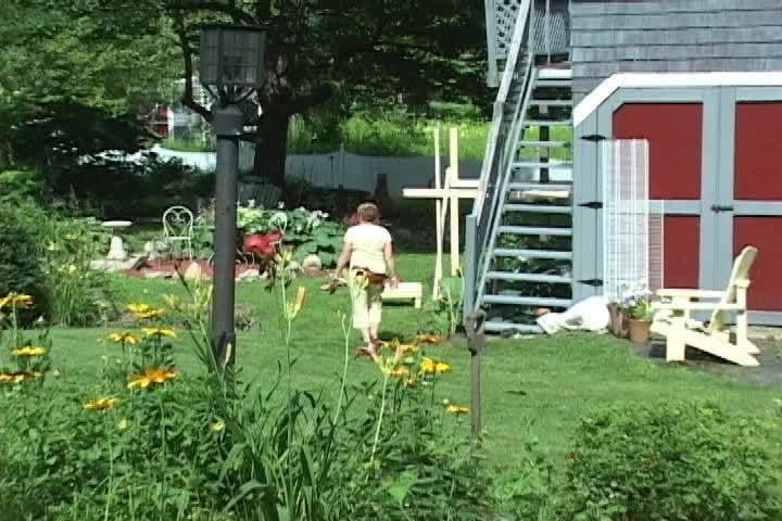 Garden Thyme: Hodgepodge