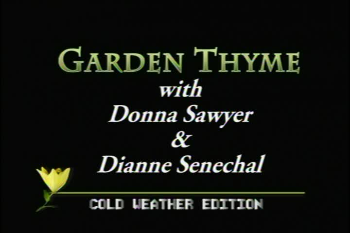 Garden Thyme: Penny Rugs