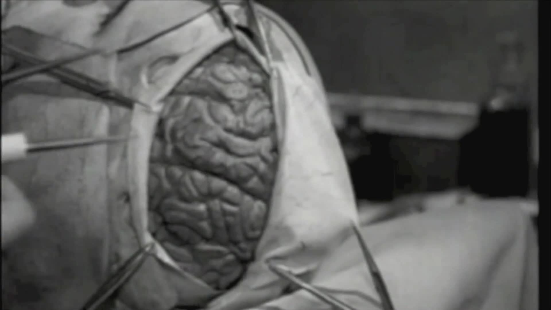 Lord Blood-Rah's Nerve Wrackin' Theatre: "Little Shop of Horrors" (1960)