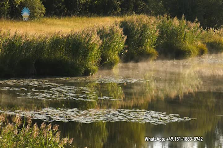 "Every Human Being Is Involved in Contributing to the State of This World"