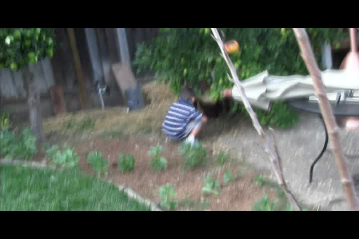 The Naked Garden