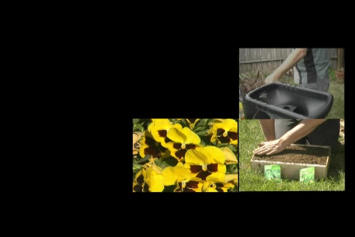 Gardening Rhythms