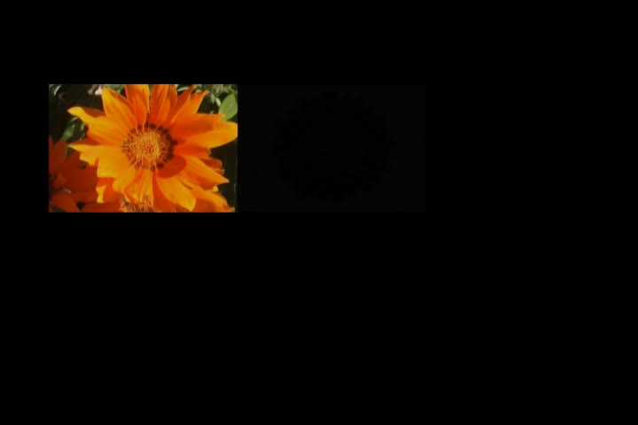 Gardening Rhythms