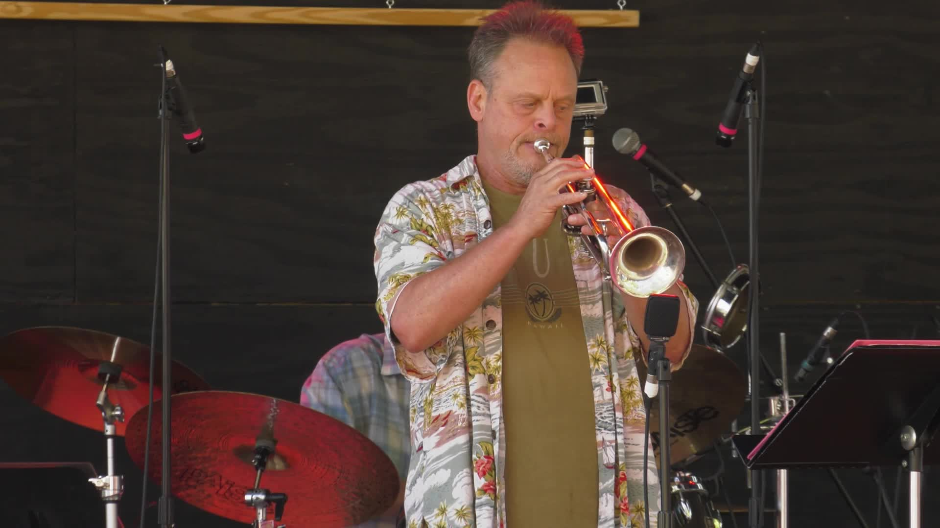 The Mo Jazz Music Festival: "Sons of Brasil"