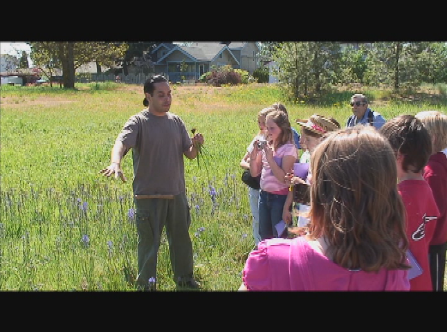 Outdoor Nature Walks: Camus Plants at Drumheller Springs