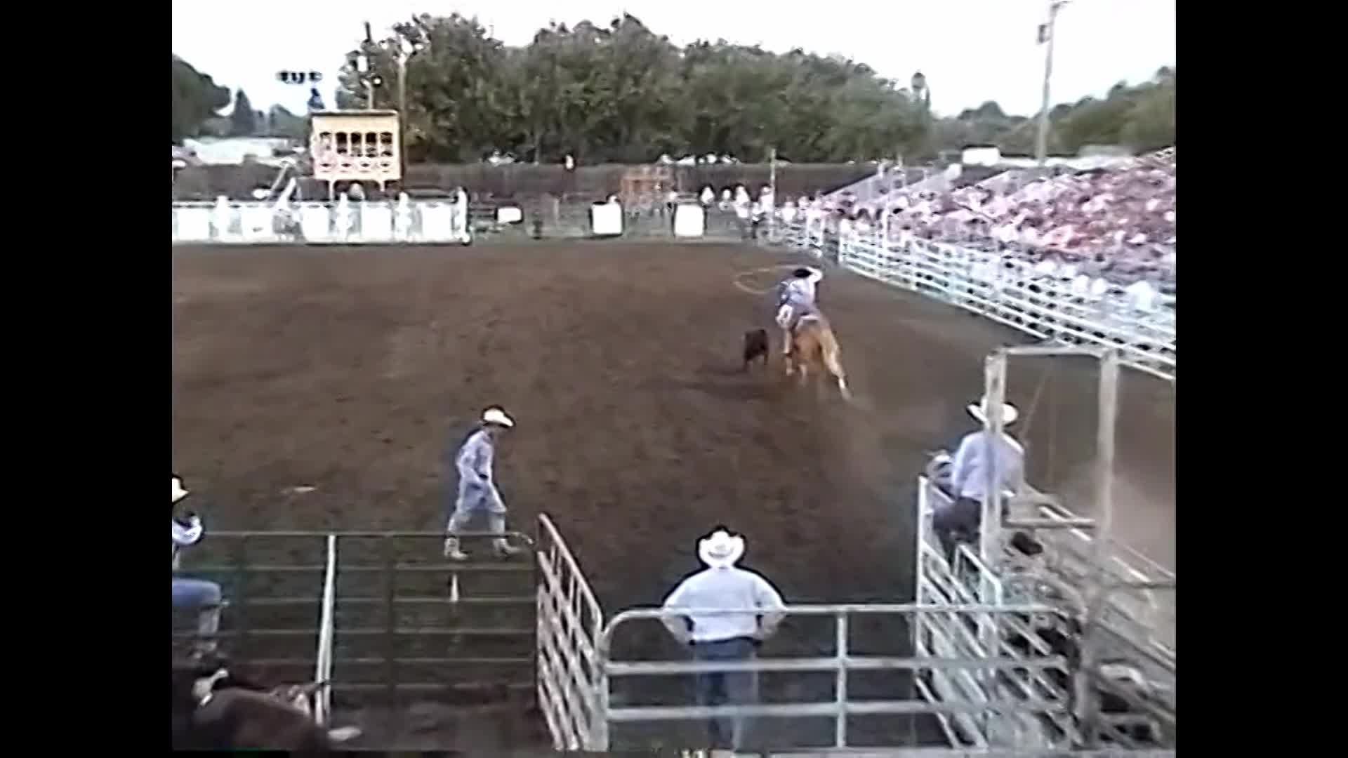 Yolo County Fair: Rodeo Highlights