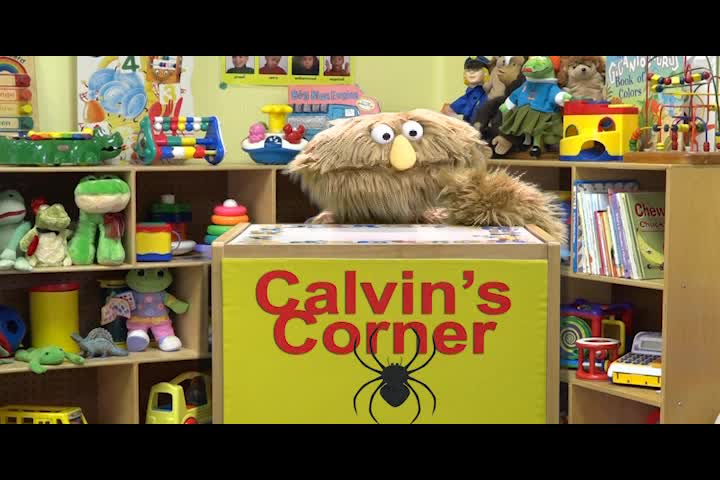 Calvin's Corner: "Spiders"
