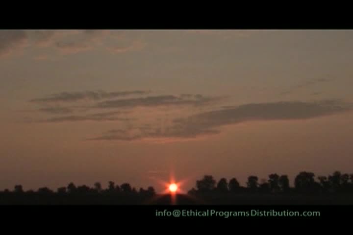 "A New Year, A New Life"