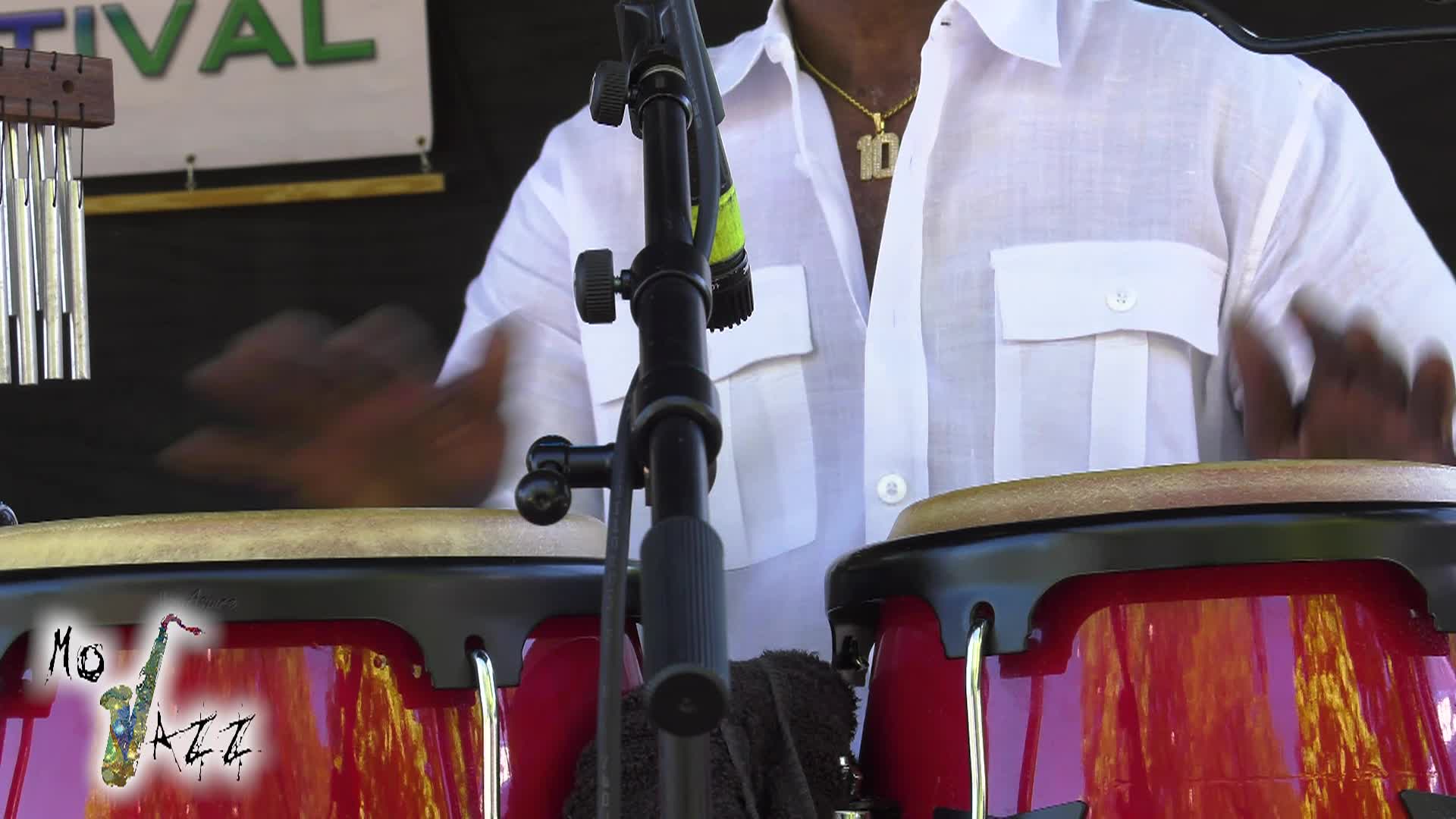 The Mo Jazz Music Festival: "The James Ward Band" (2024)